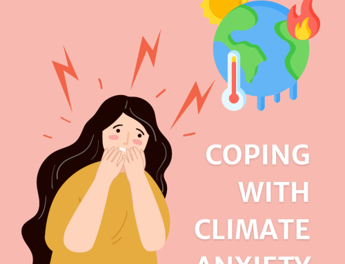Coping with Climate Anxiety: Support for Santa Barbara Residence